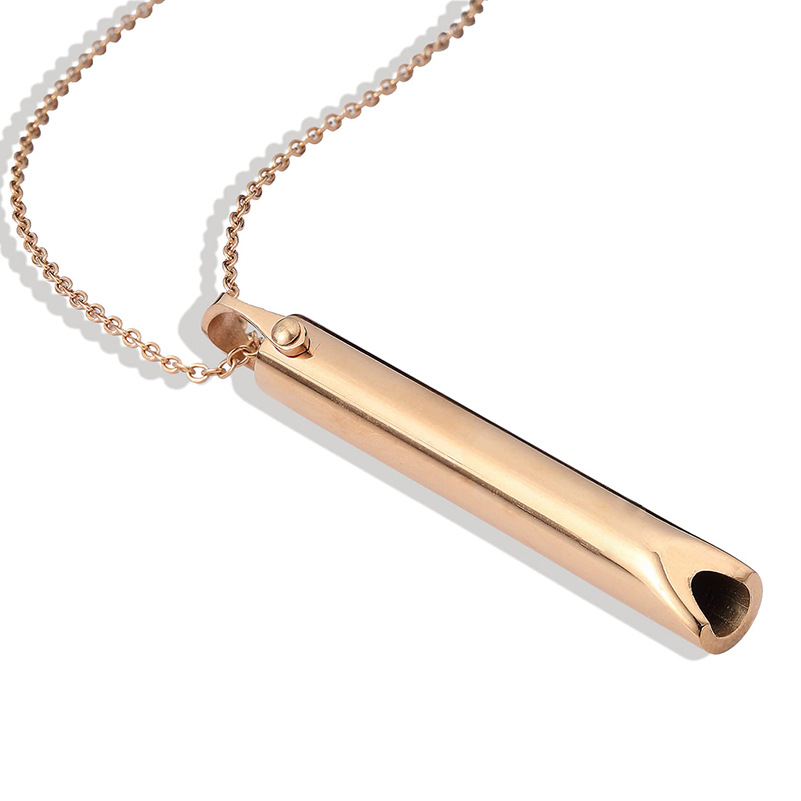 Stainless Steel Anxiety Necklace